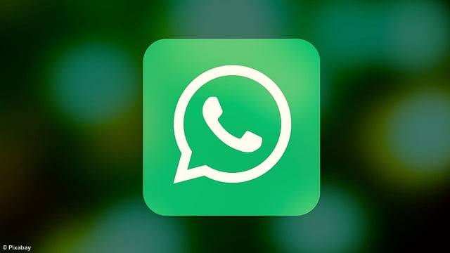 WhatsApp teste la détection des fausses images