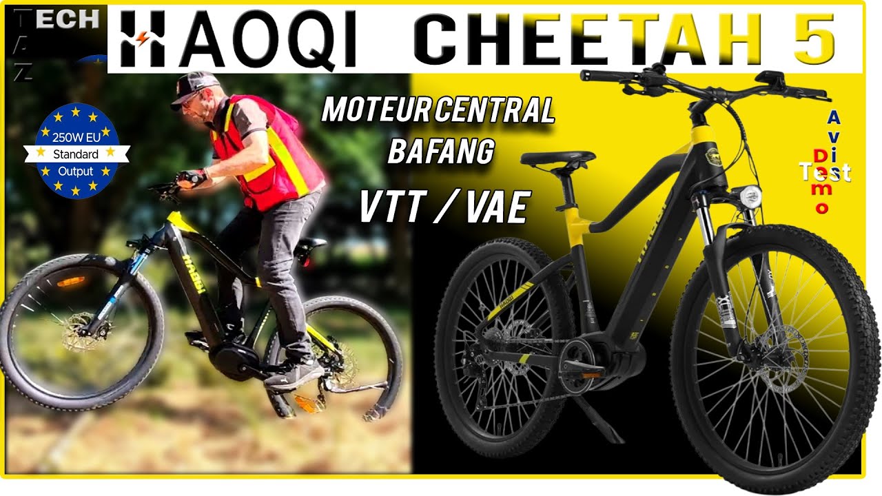 Haoqi cheetah 5  VTT à assistance électrique – Moteur central BAFANG – Bonne chance !