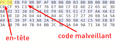 Figure 2 : Structure du fichier JPG de « Agent Smith »