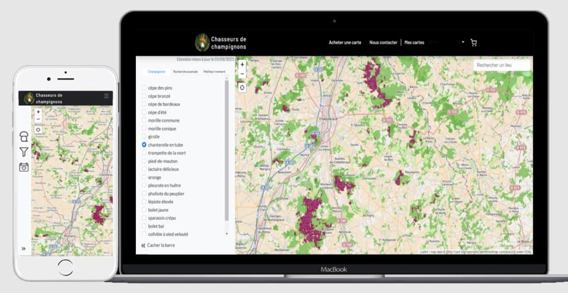 Cet ingénieur a créé un outil incroyable pour faciliter la cueillette des champignons grâce à son algorithme et ses cartes interactives.
