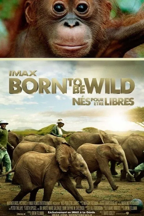 Born to Be Wild