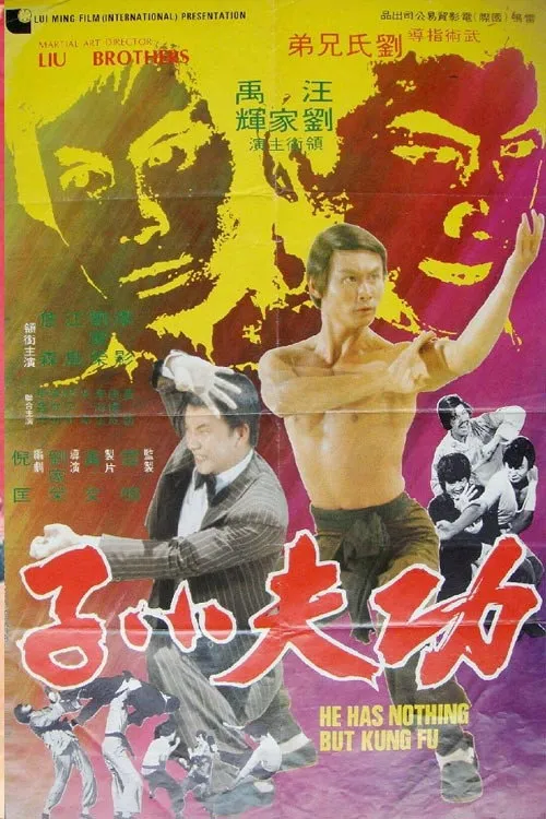 功夫小子