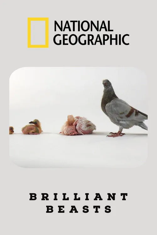 Intelligence animale
