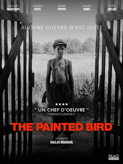 L'Oiseau bariolé