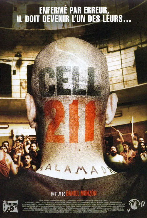 Cellule 211