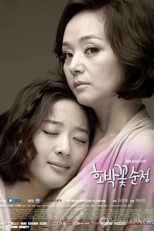 호박꽃순정