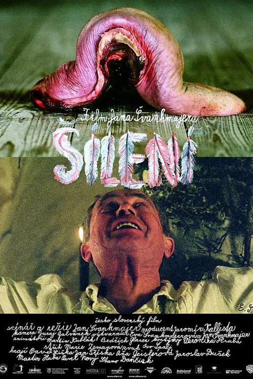 Šílení