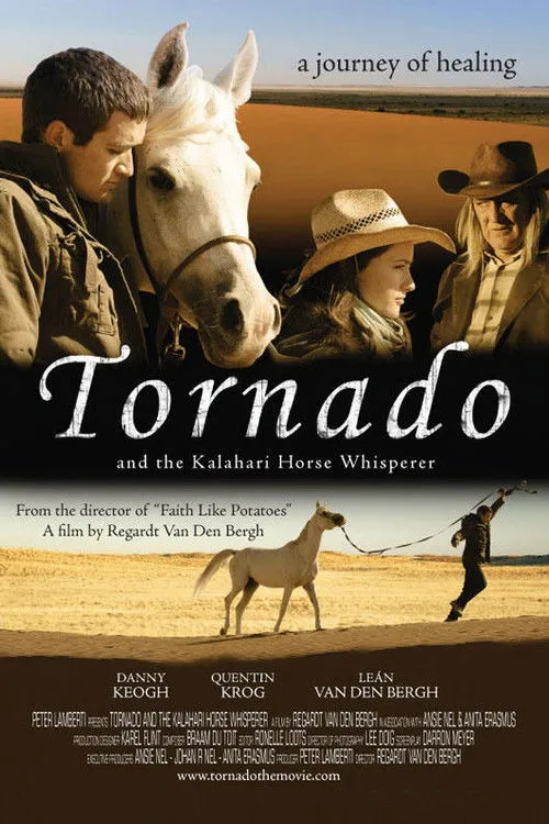Tornado - L'étalon du désert