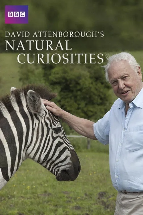 Curiosités animales