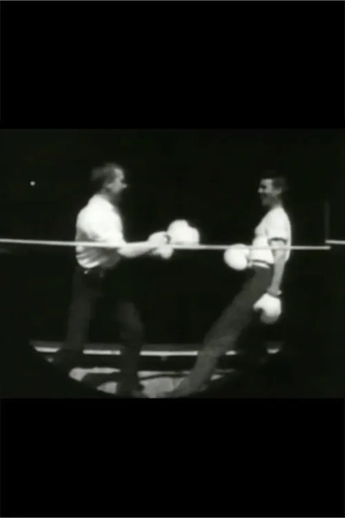 Men Boxing