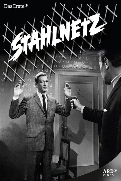 Stahlnetz