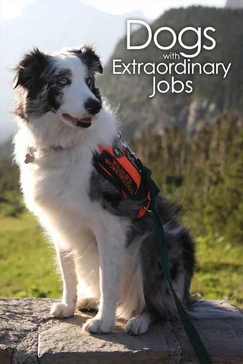 Ces chiens qui sauvent